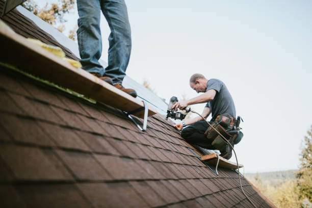 Best Storm Damage Roof Repair  in Brunswick, GA
